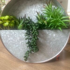 Metal Succulent Wall Planter NEW